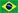 Português Brasil